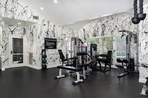 Birmingham apartment for rent - A gym with black and white marble walls and floors.