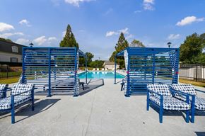 Smyrna apartment for rent - A pool area with blue chairs and a pool.