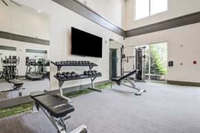 Charlotte apartment for rent - the gym at the shadow creek club in east lansing at Century University City, Charlotte, NC