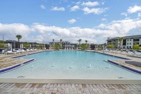 Punta Gorda apartment for rent - a large swimming pool with chaise lounge chairs and palm trees in the background