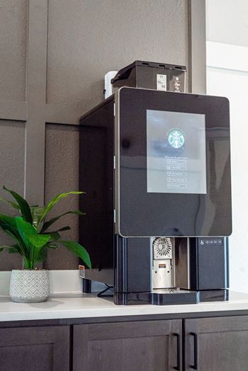 A black coffee machine on a kitchen counter with a digital display and a potted plant beside it.