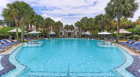 Columbus apartment for rent - A large swimming pool surrounded by palm trees and lounge chairs.