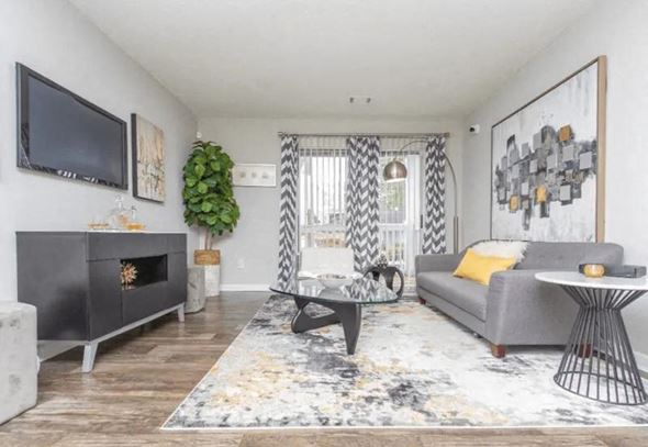 Decatur apartment for rent - a living room with a couch and a television at The Sapphire, Georgia, 30035