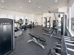 Savannah apartment for rent - Fitness Center With Modern Equipment at Monarch at Godley Station, Savannah, 31407