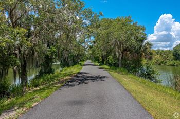 A road with trees and water on both sides of it