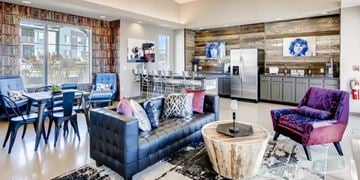 Mckinney apartment for rent - A living room with a black couch and a purple chair.
