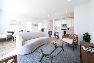 Rosharon apartment for rent - A modern living room with a curved sofa and a coffee table.