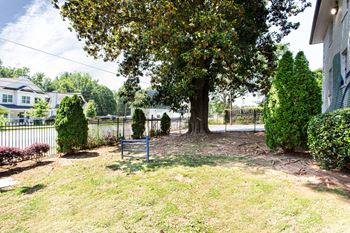 A large tree in a yard with a blue sign in front of it