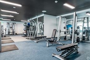 Sarasota apartment for rent - A well-equipped gym with various exercise machines and weights.