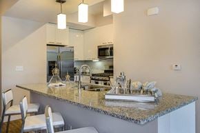 Sarasota apartment for rent - Breakfast Bar