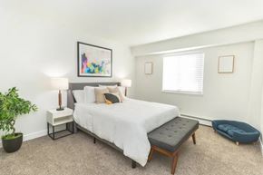 Madison apartment for rent - A bedroom with a large bed, a potted plant, and a dog bed.