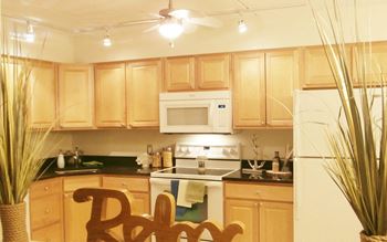 Modern kitchen with wooden cabinet