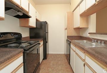Frisco apartment for rent - A kitchen with a black refrigerator, black stove, and brown cabinets.