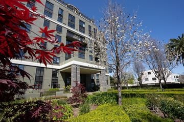 San Jose apartment for rent - A modern building with a grey facade and a tree with white flowers in front.