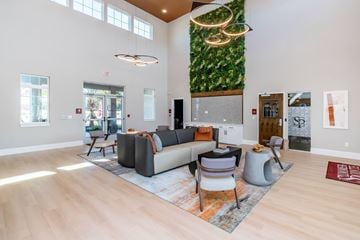 Summerfield triplex for rent - A living room with a grey couch and a green wall.