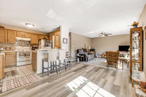 Asheville apartment for rent - the living room is open to the kitchen and dining area