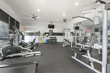 Gym with equipment including weights and cardio machines