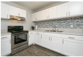 Jacksonville apartment for rent - renovated kitchen