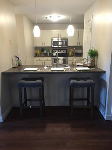 Floor plan for 2 beds, 1 bath, 875 sqft