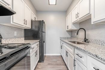 Black energy efficient appliances