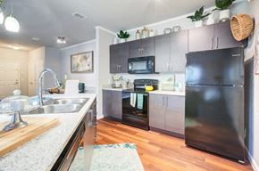 Lakeland apartment for rent - A modern kitchen with a black refrigerator and stove.at Century Ariva, Florida, 33812
