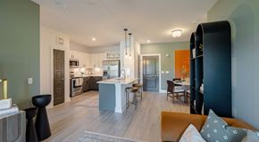Frisco apartment for rent - A modern kitchen with a dining area and a living room.