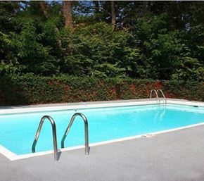 Cincinnati apartment for rent - A small pool surrounded by trees and bushes.