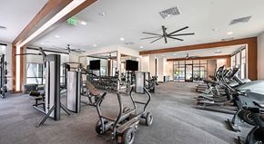 Jacksonville apartment for rent - A gym with a variety of equipment including treadmills, weights, and exercise machines.