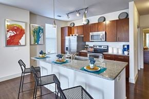 Cedar Hill apartment for rent - Gourmet Kitchen at Century Cedar Hill, Cedar Hill, TX