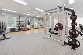 Savannah apartment for rent - A gym with a variety of equipment including a squat rack, dumbbells, and a bench.