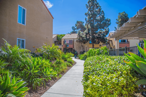 San Diego apartment for rent - a sidewalk in front of a building with bushes and plants