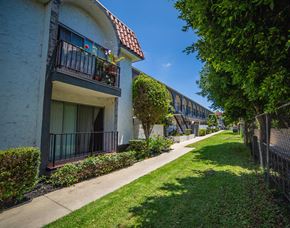 Camarillo apartment for rent - a sidewalk lined with plants and trees in front of building 182
