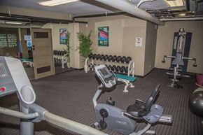 Los Angeles apartment for rent - A gym with a variety of equipment including a treadmill, weights, and a bench press.