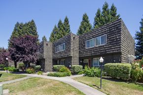 Santa Rosa apartment for rent - Grounds