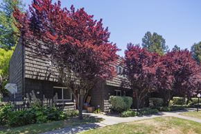 Santa Rosa apartment for rent - Grounds