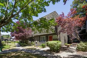 Santa Rosa apartment for rent - Grounds
