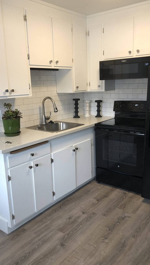 Floor plan for 1 bed, 1 bath, 600 sqft