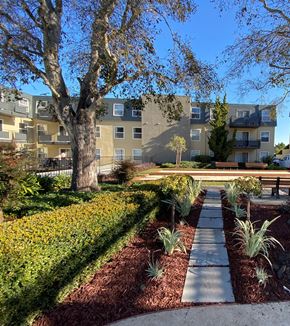 San Bruno apartment for rent - a path in a garden with a building in the background