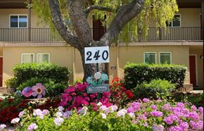 San Jose apartment for rent - 240 Di Salvo AvenueSan Jose, CA 95128