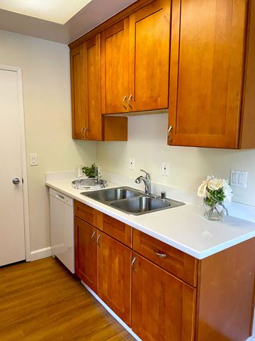 Sunnyvale apartment for rent - a kitchen with a sink and wooden cabinets