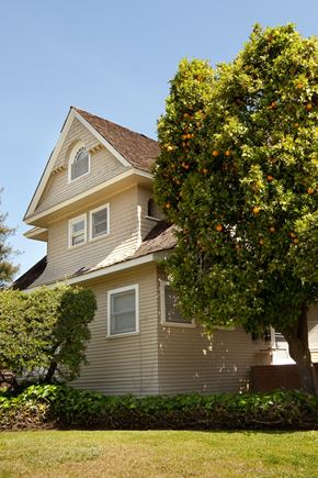 Palo Alto apartment for rent - a house with an orange tree in front of it