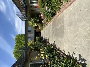 San Jose apartment for rent - Colonial House Apartments San Jose 1560 San Tomas Aquino Road  San Jose, CA 95130
