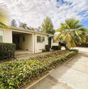 Cupertino apartment for rent - a house with a palm tree in front of it