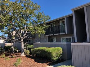 Sunnyvale apartment for rent - 110 Remington Apartments 110 E Remington Drive  Sunnyvale, CA 94087
