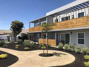 Santa Clara apartment for rent - a courtyard with a tree in the middle and a gray building in the background