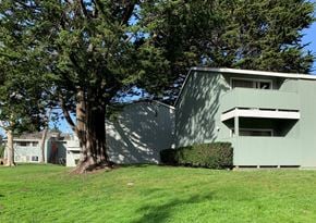 Santa Cruz apartment for rent - a green house and a tree on a hill