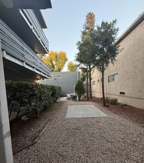 San Jose apartment for rent - A gravel courtyard with a tree and a building in the background.