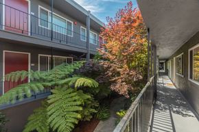 San Jose apartment for rent - Villa Alameda Apartments 840 Villa Avenue  San Jose, CA 95126