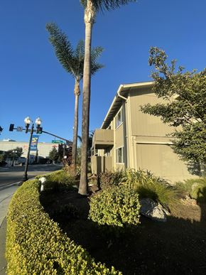 Sunnyvale apartment for rent - A house with a palm tree in front of it.