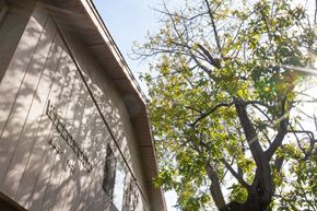 San Jose apartment for rent - a view of the side of a building with a tree in the background